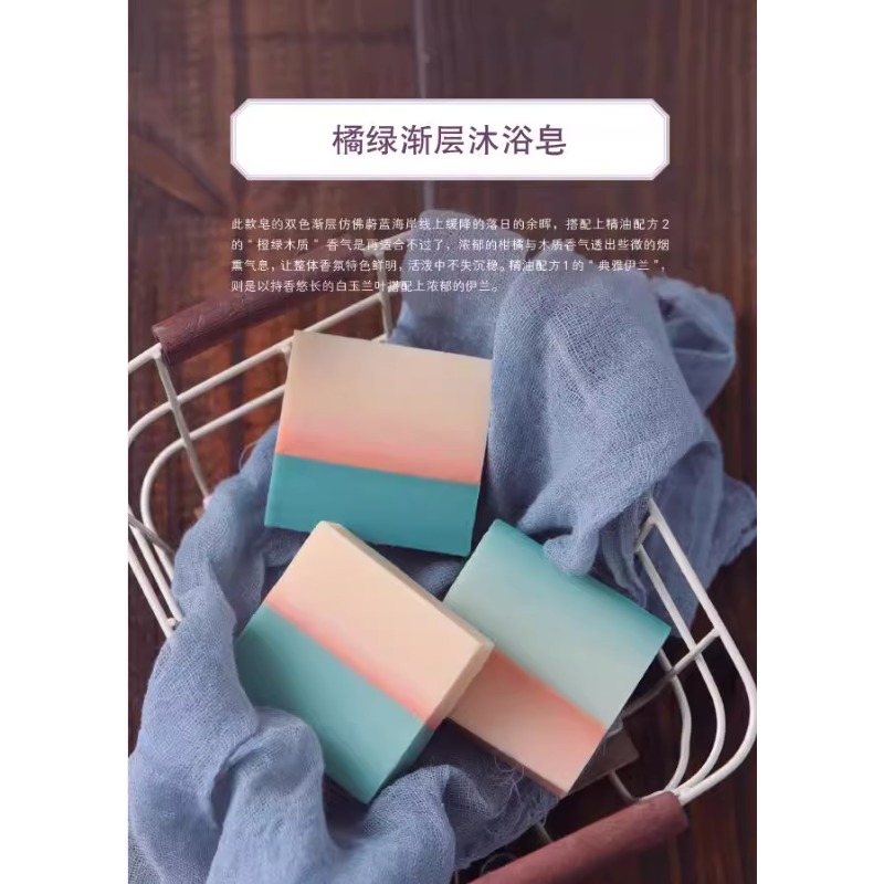 DIY Scented Soap Making Book w - Soap Making Books review and price